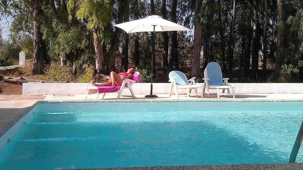 Casa Rural Cortijo Salido Bajo Guest House Navas de San Juan Country house